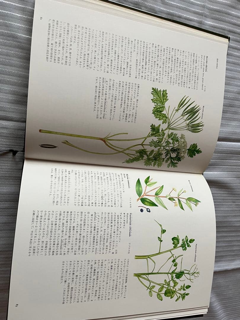 ハーブ&スパイス/サラーガーランドThe Herb & Spice Book