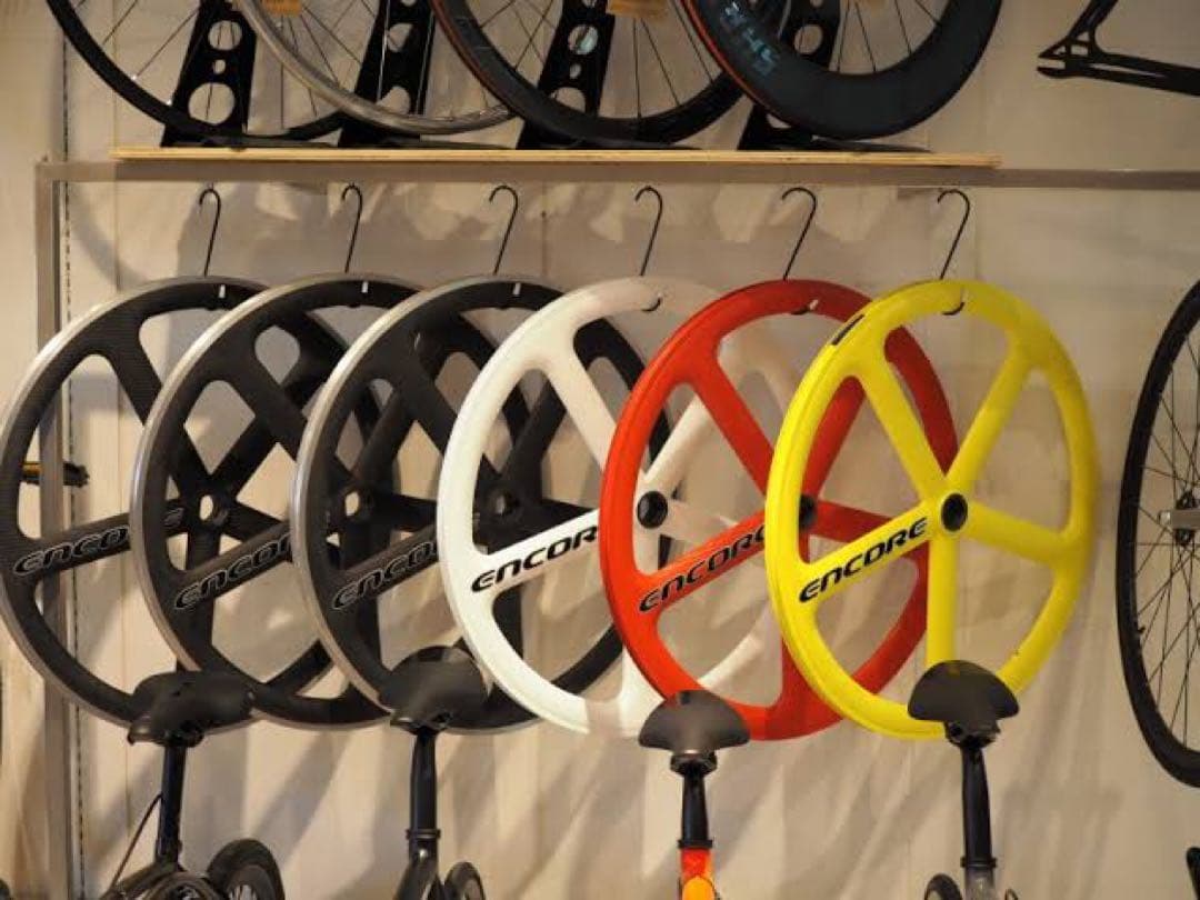 LEADER BIKE 725 TR CUSTOM M 白金 エアロピストバイク