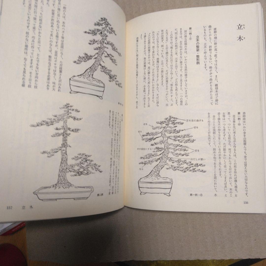 初期版　図解　盆栽樹形の作り方 阿部倉吉　五葉松盆栽の整姿・整形　昭和52年6版