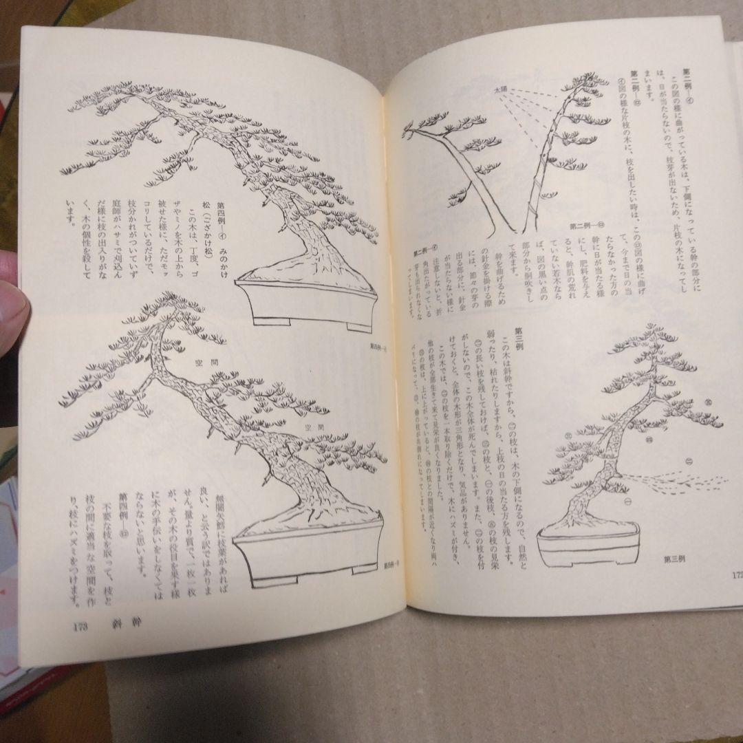 初期版　図解　盆栽樹形の作り方 阿部倉吉　五葉松盆栽の整姿・整形　昭和52年6版