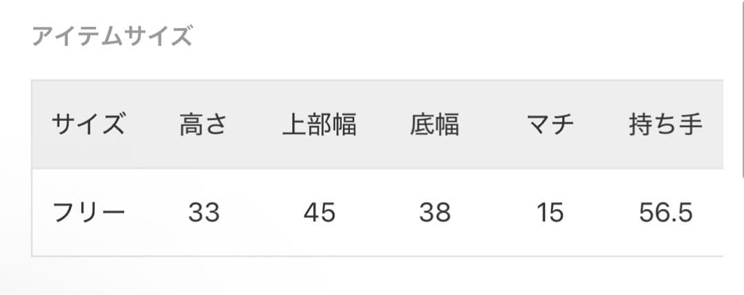 新品 BRIEFING/ブリーフィング 別注 DISCRETE TOTE BAG