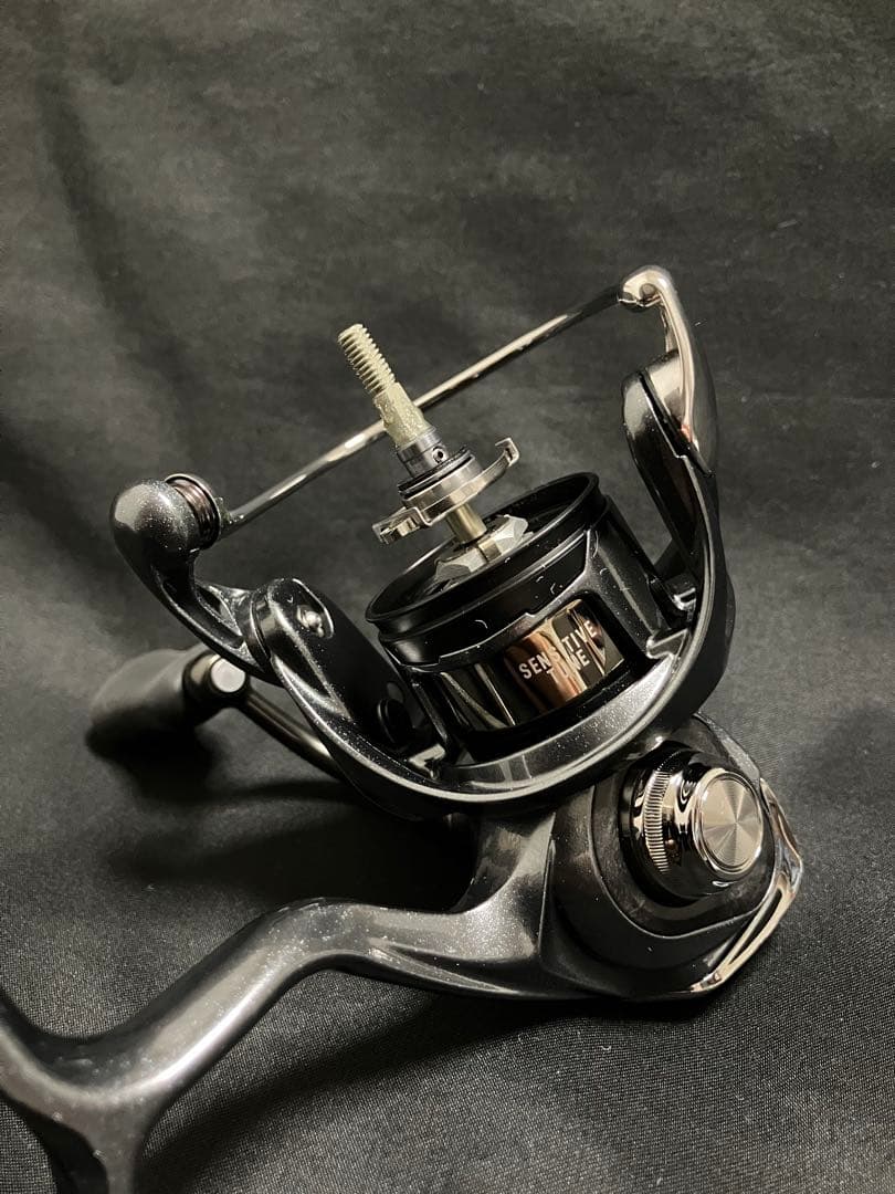 ダイワ 24ルビアスST LT2000S-P