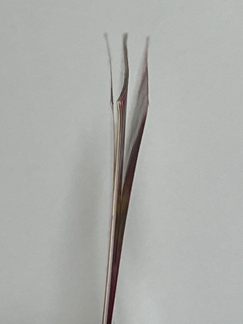 ドラゴンボール改 魔人ブウ編 DVD BOX 3