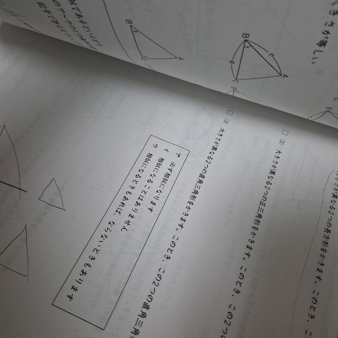 日能研　6年生　2024年度　学習力育成テスト　合格力育成テスト　【難関】