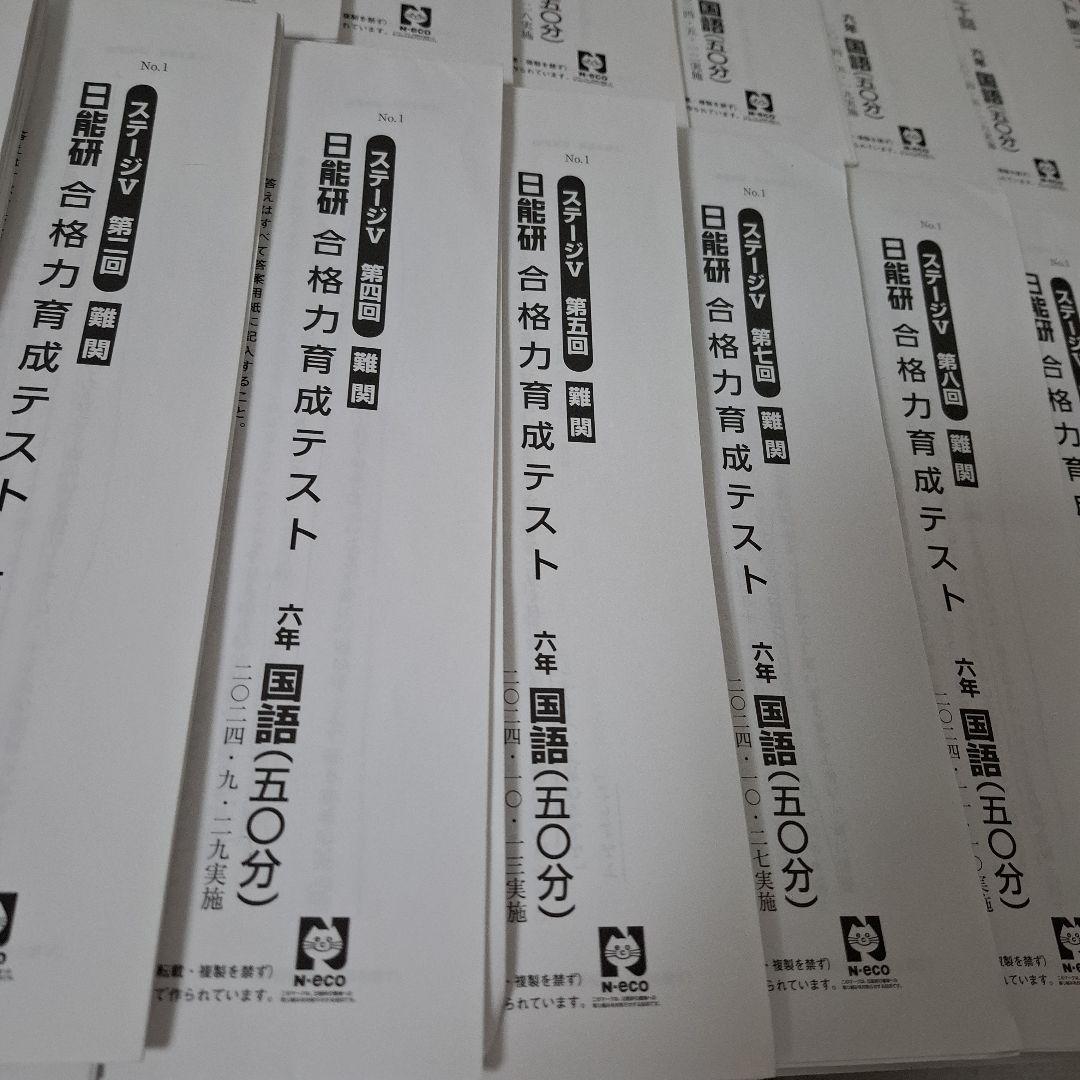 日能研　6年生　2024年度　学習力育成テスト　合格力育成テスト　【難関】