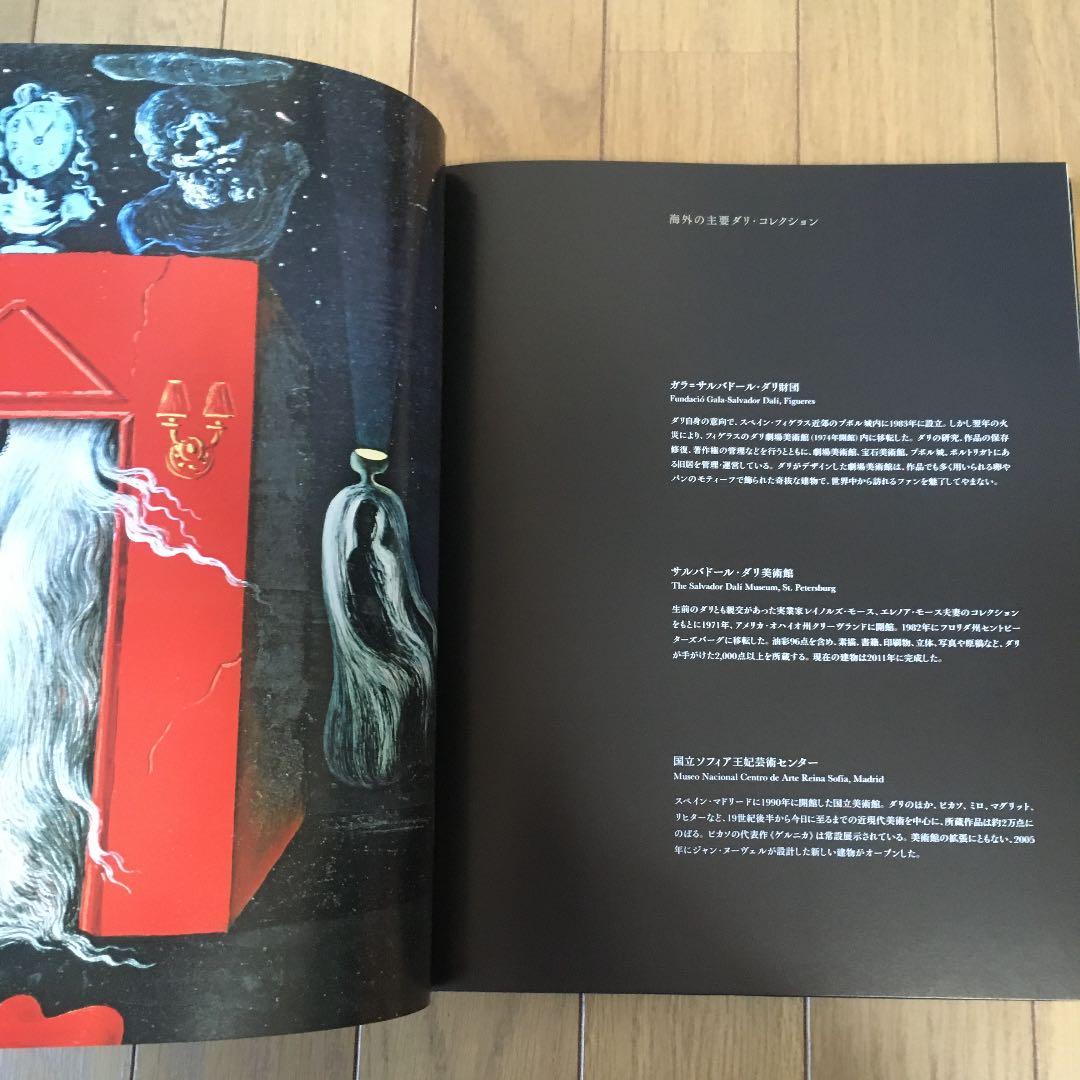 ダリ展　図録　美術書