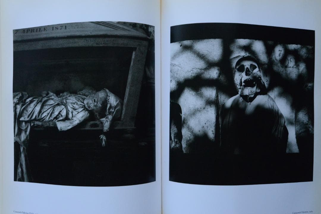 【Peter Hujar ：A Retrospective 】1994年初版