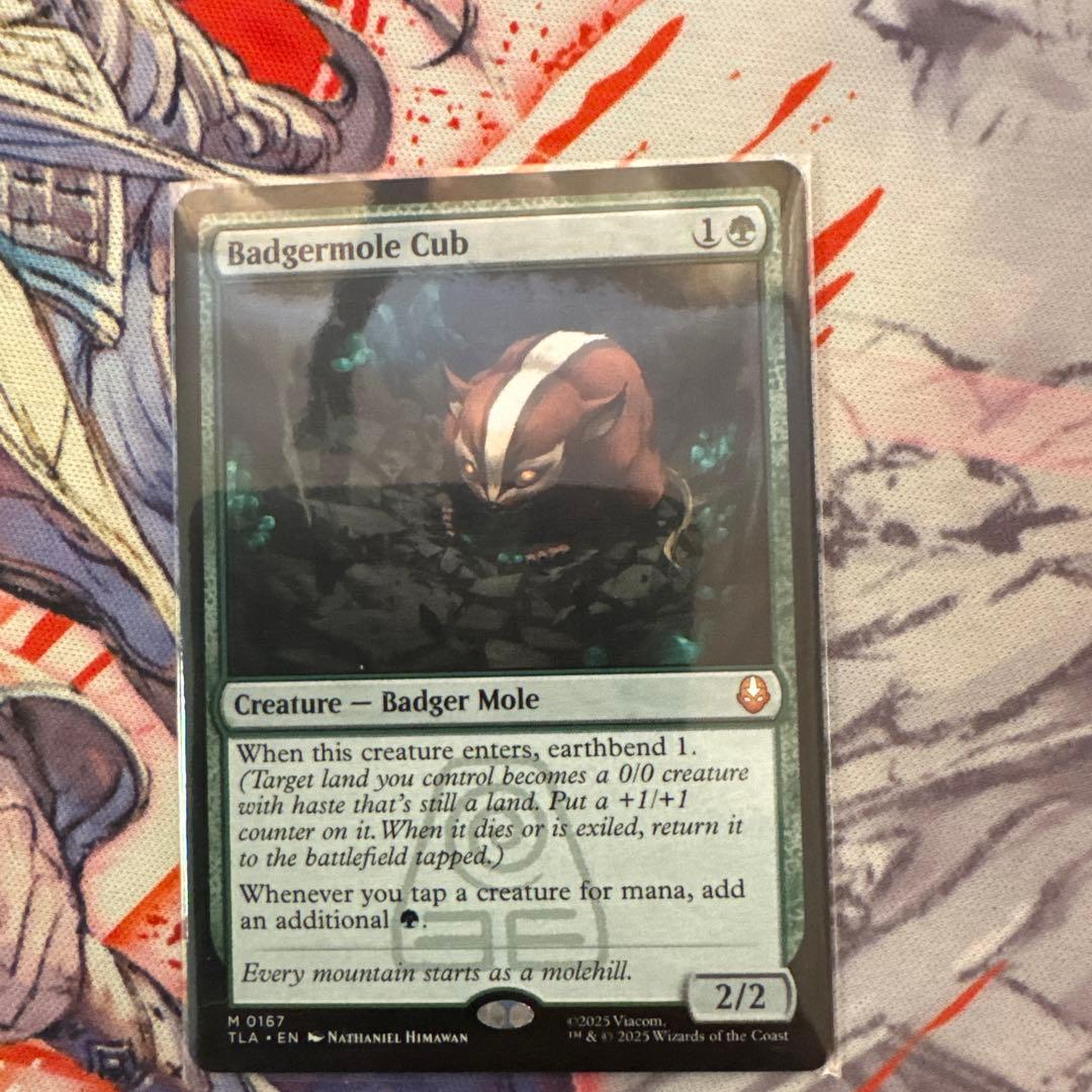 アナグマモグラの仔 英語版