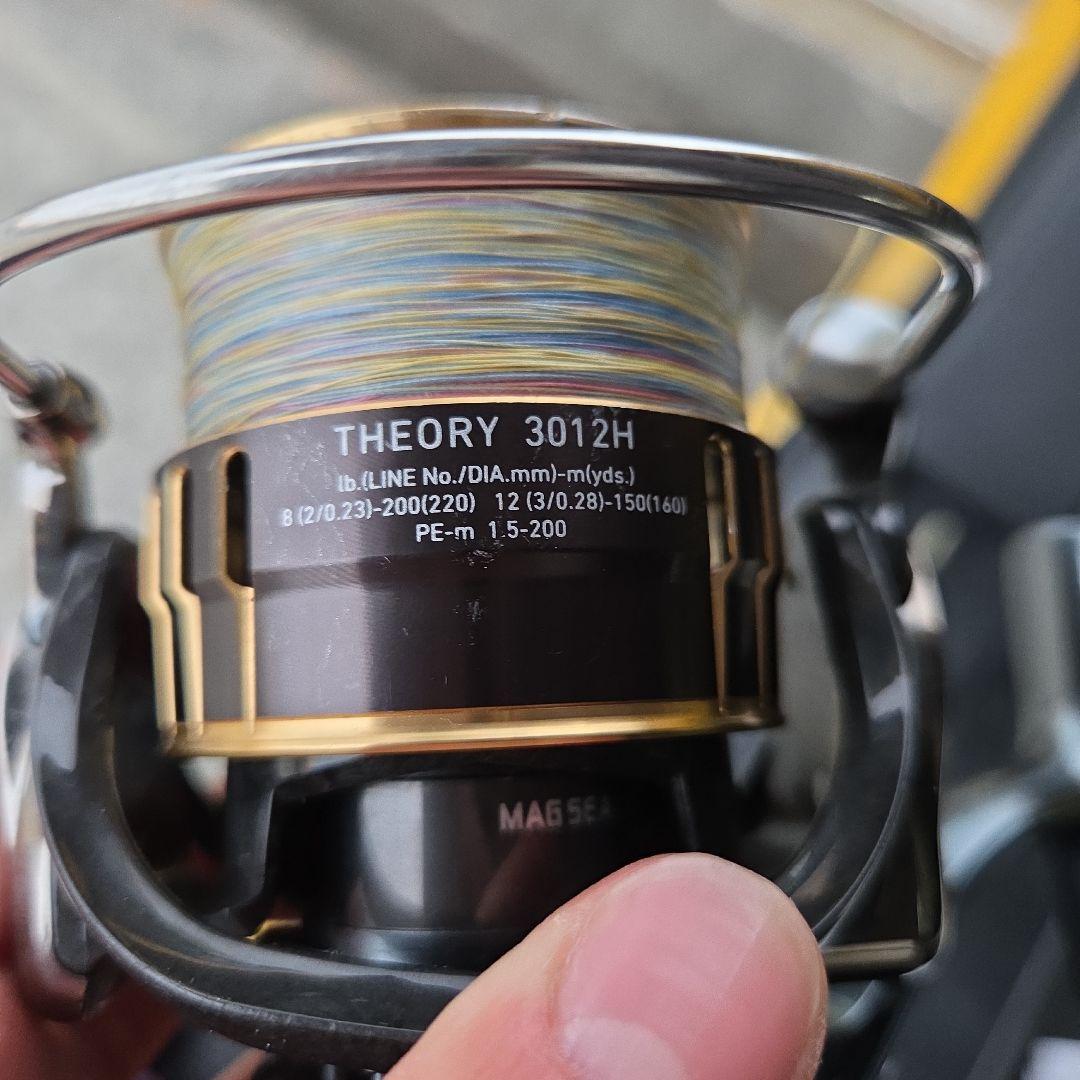 ダイワ 17セオリー3012h