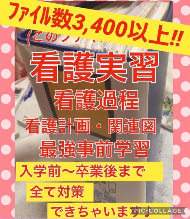 看護 実習 手順書 看護学生 関連図 実習記録 国家試験 レポート 実習記録