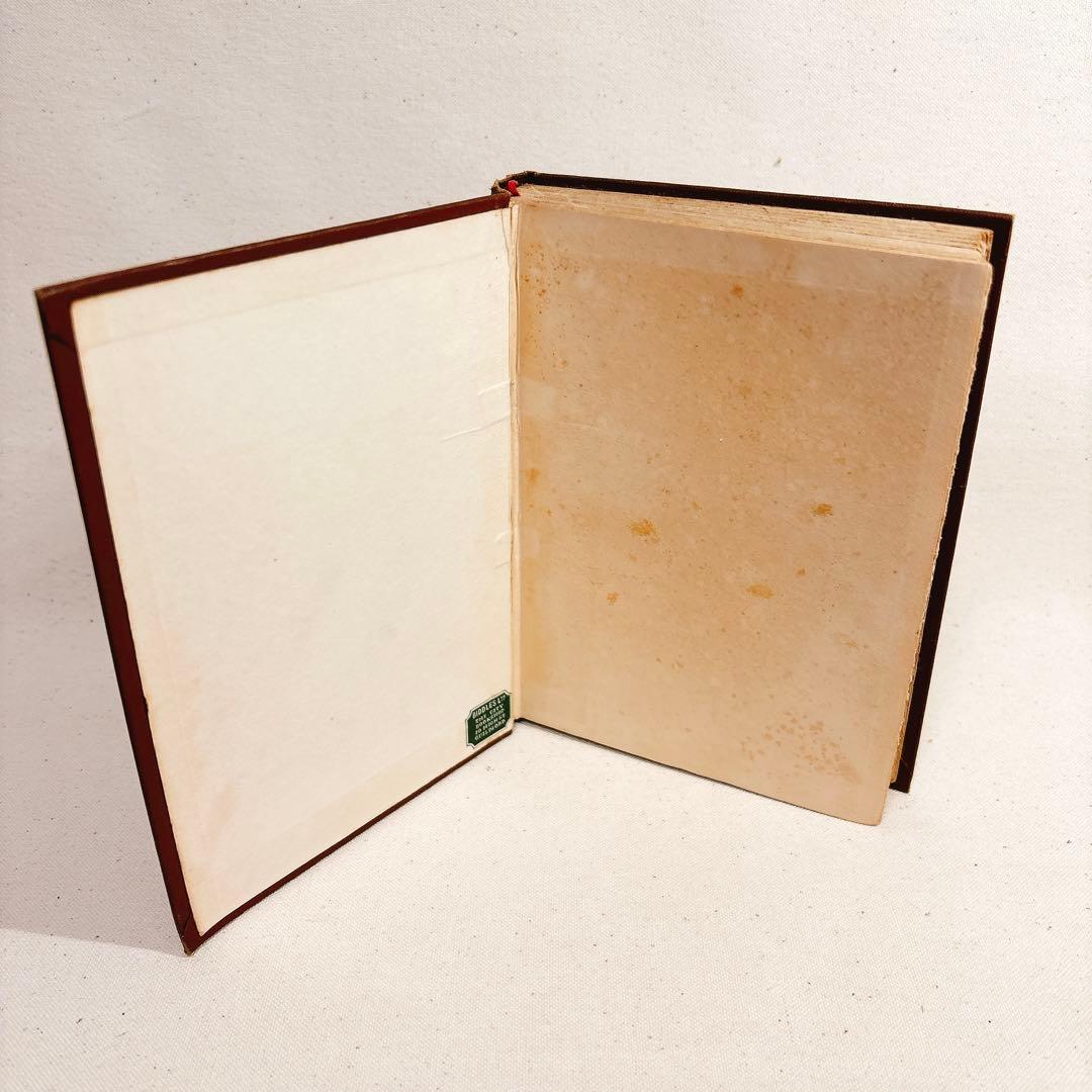 海外 ヴィンテージ洋書 BIRDS 鳥の図鑑 イギリス