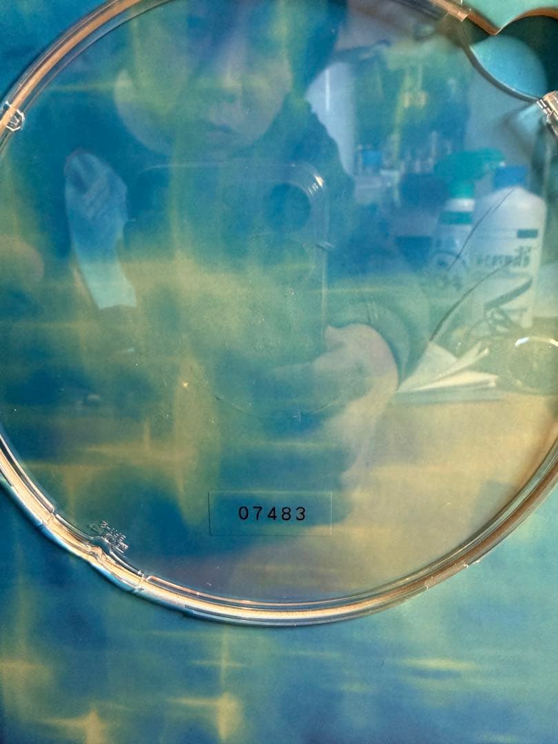 98:LINDERG FLIGHT RECORDER サイン入り