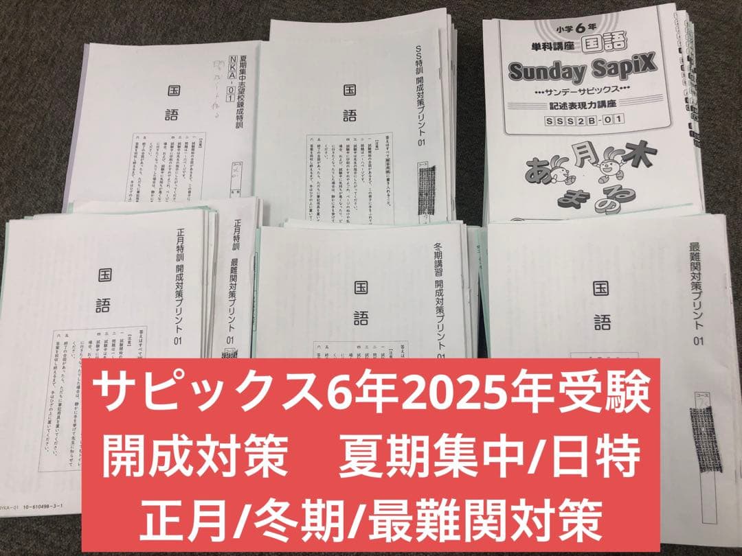 開成対策　サピックス　6年 2025年受験　日特/冬期/正月他　中古