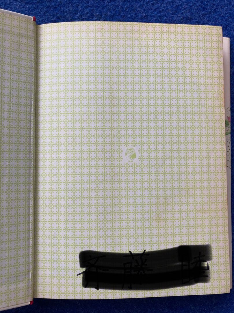 小説キャンディキャンディ①