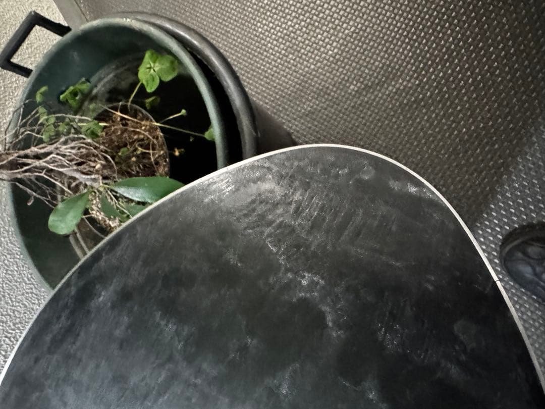 23-24ノベンバー　Icecat154 オガサカ　OGASAKA