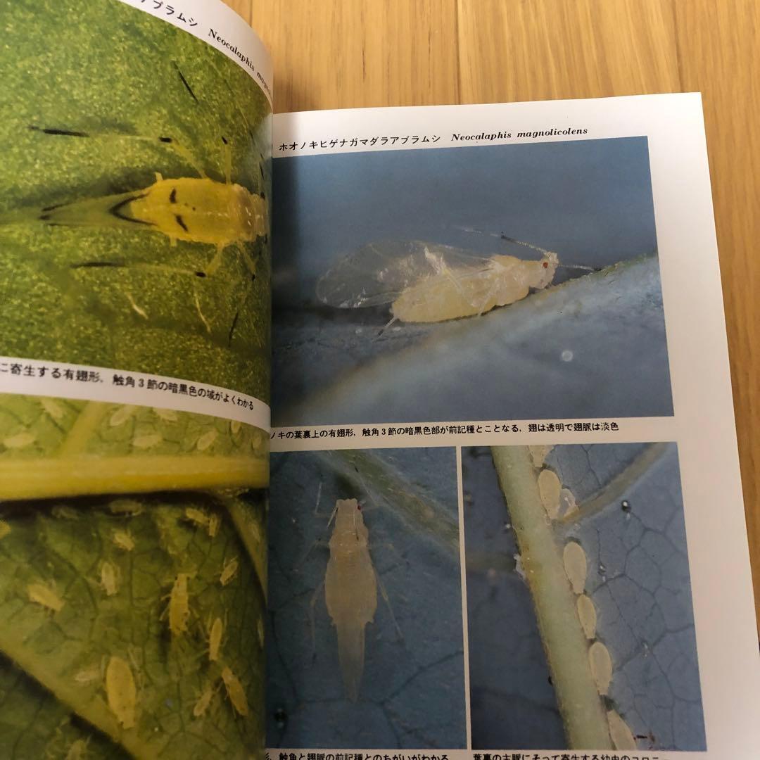 【希少・美品】日本原色アブラムシ図鑑 / 森津孫四郎 / 絶版本