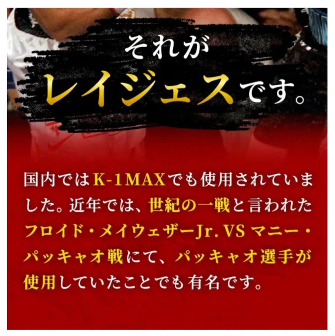 レイジェス バッグ打ち用グローブ【ゴム式 L/E352