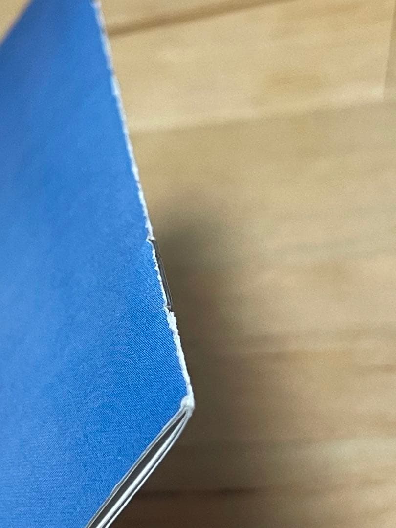 【帯付き】ブロンスキ・ビート 『陶酔の飾り砂糖』 国内盤CD　レア　希少