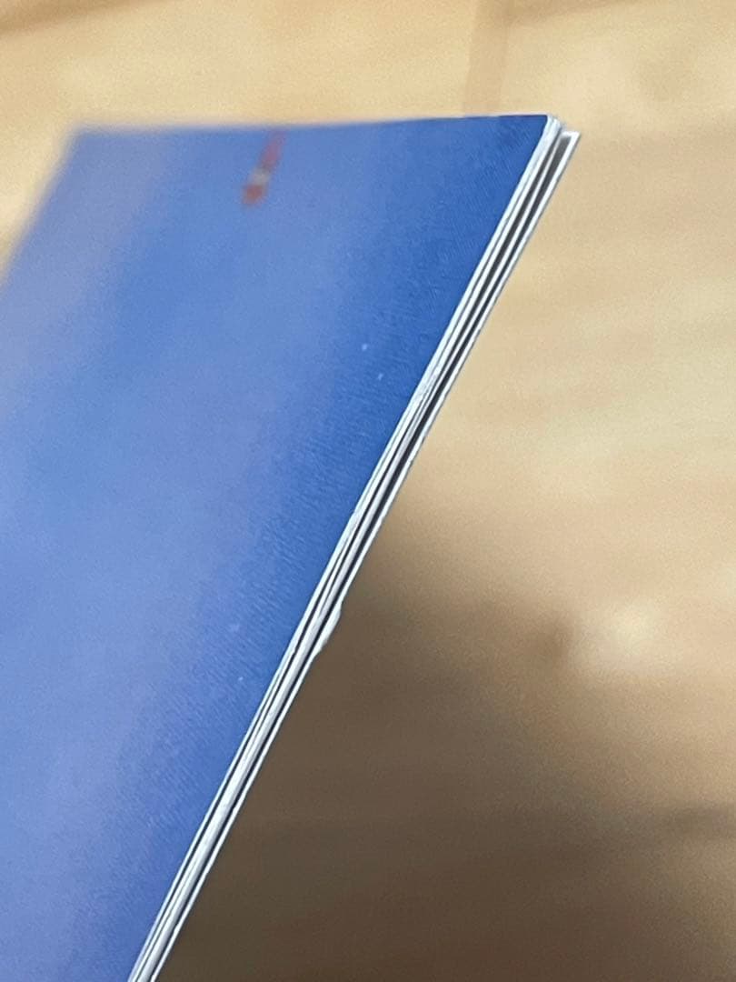 【帯付き】ブロンスキ・ビート 『陶酔の飾り砂糖』 国内盤CD　レア　希少