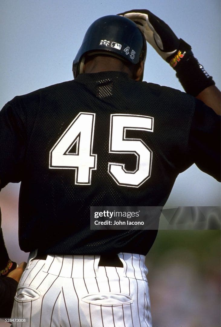 マイケル・ジョーダン 1994年 実使用ジャージ（ユニフォーム）/大谷翔平