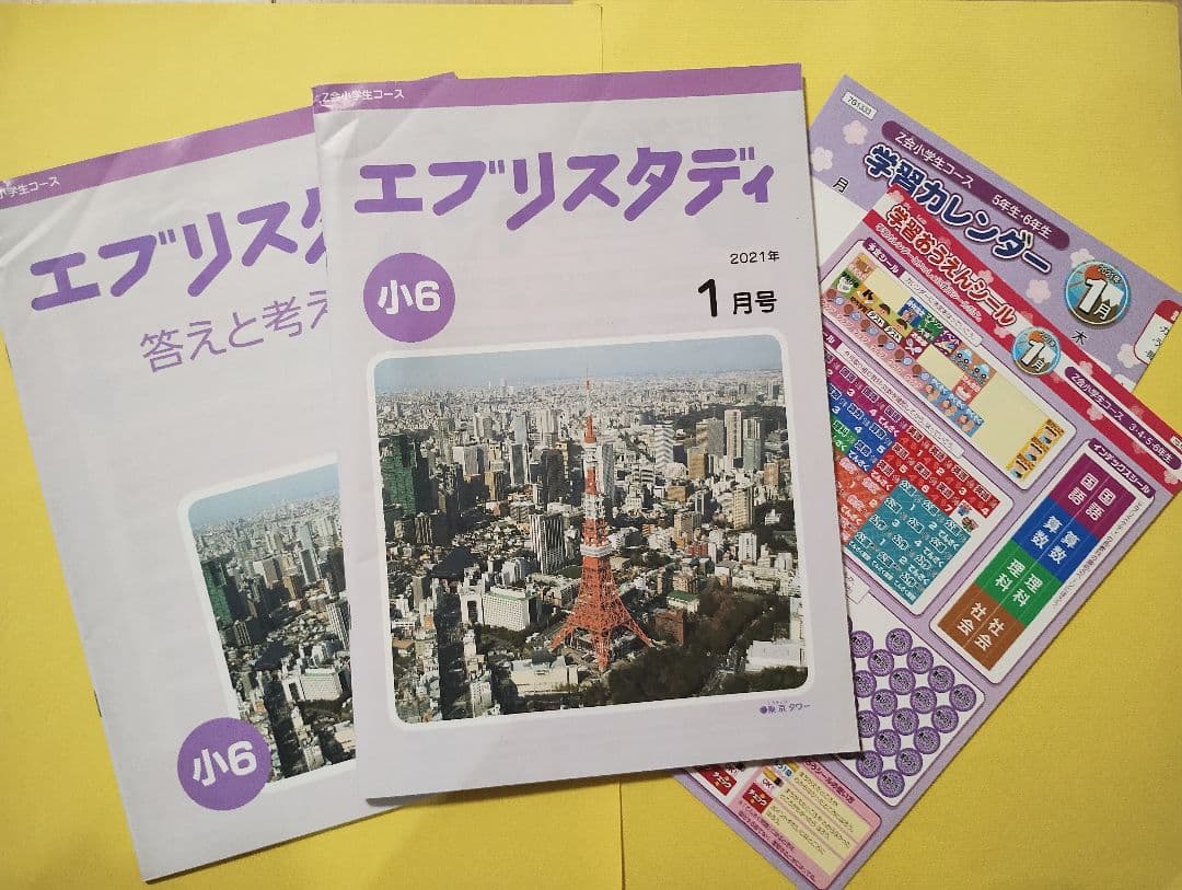 Z会 小6 エブリスタディ ハイレベル1年分