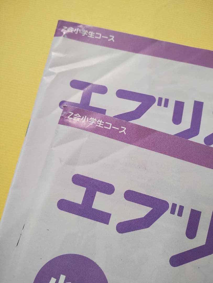 Z会 小6 エブリスタディ ハイレベル1年分