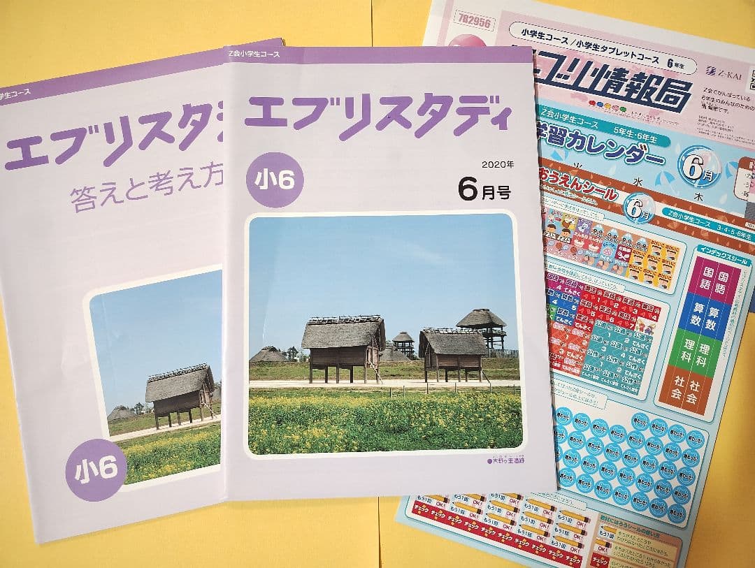 Z会 小6 エブリスタディ ハイレベル1年分