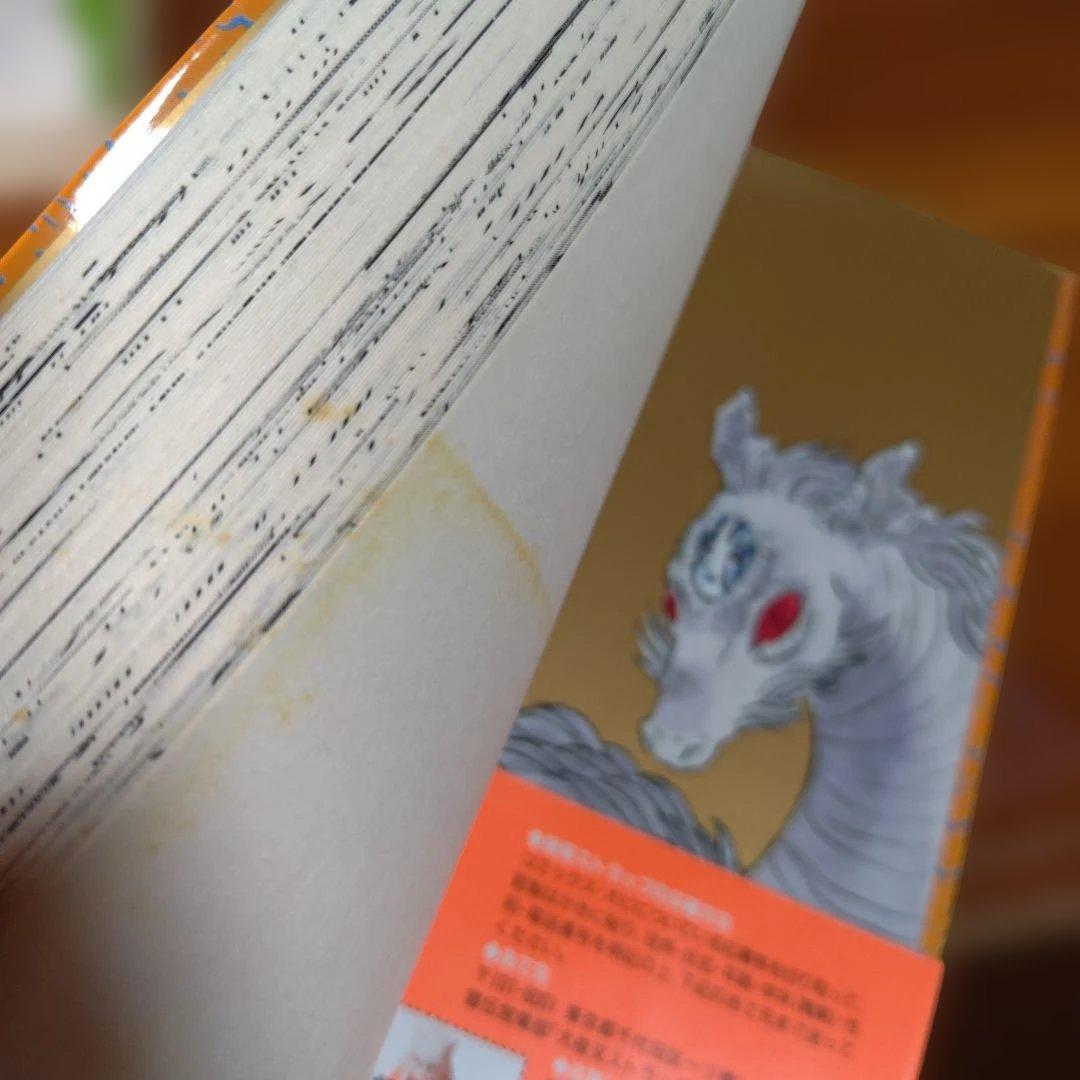 犬夜叉 全56巻 半妖の夜叉姫４巻セット