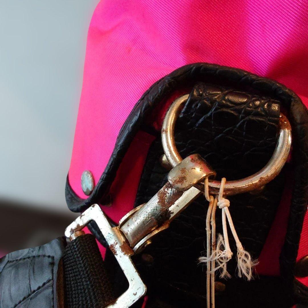 希少　BVLGARI ブルガリ　高級キャディバッグ 　ロゴ刺繍　ピンク