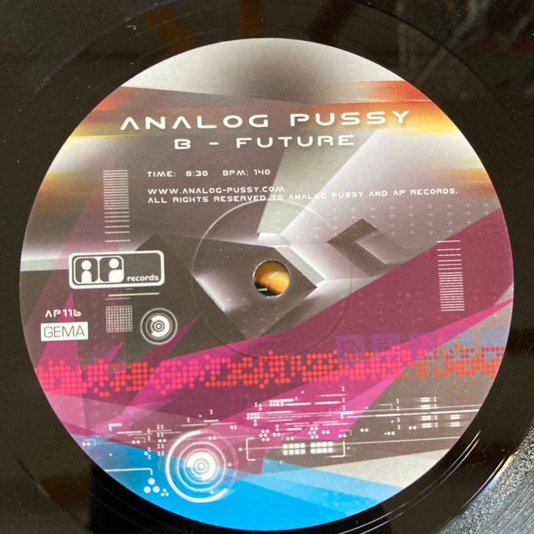 2004 ‎ Analog Pussy 2枚セット DEEP PURPLEネタ
