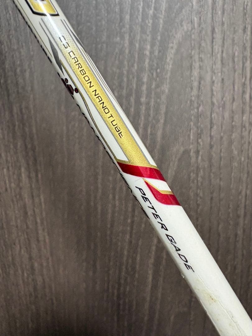 アークセイバー10 ピーターゲード 3UG5 限定品