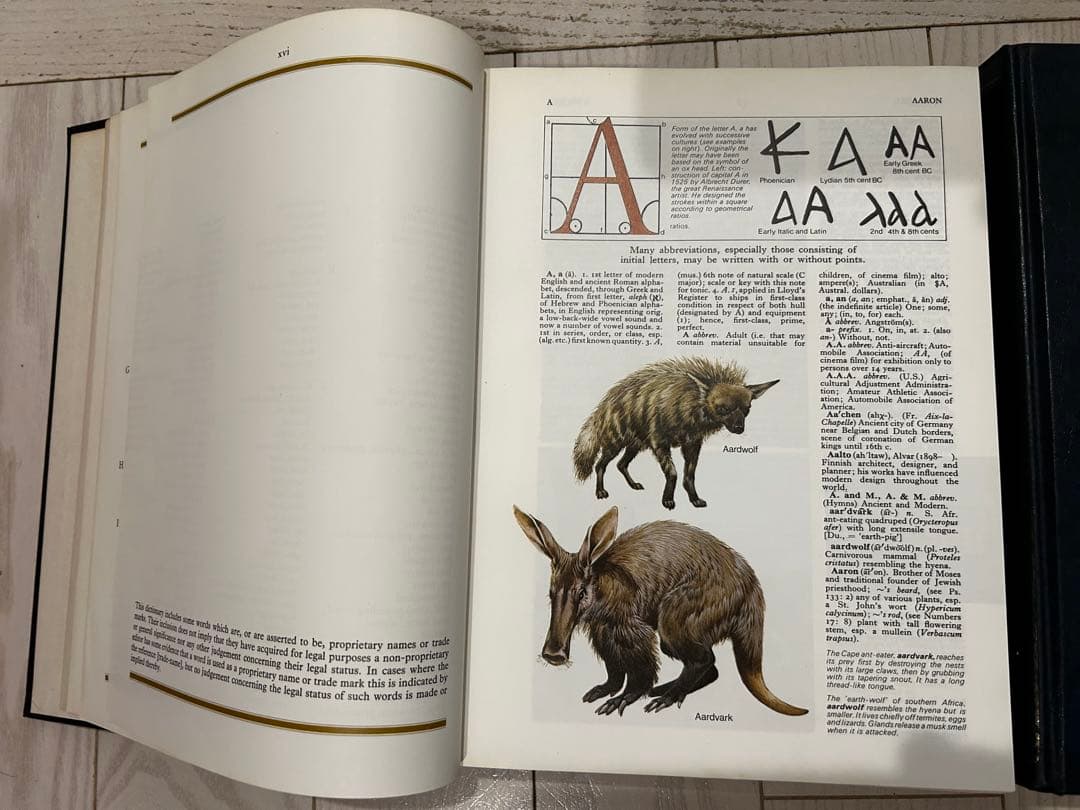 洋書 Oxford Illustrated Dictionary