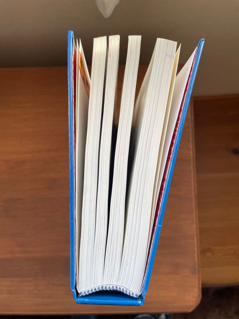 Savignac サヴィニャック 作品集•画集　図録