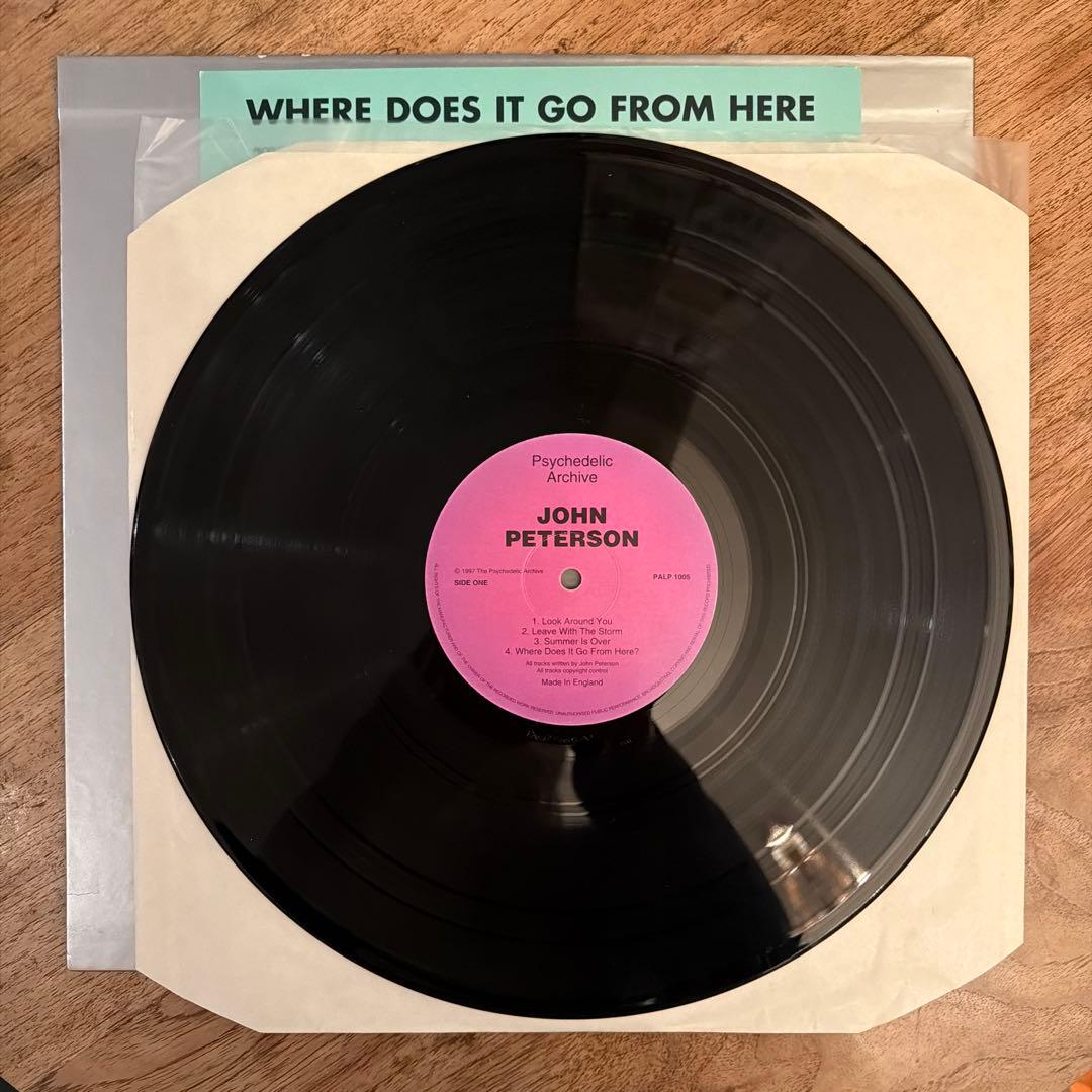 JOHN PETERSON WHERE DOES IT GO 激レアLPレコード