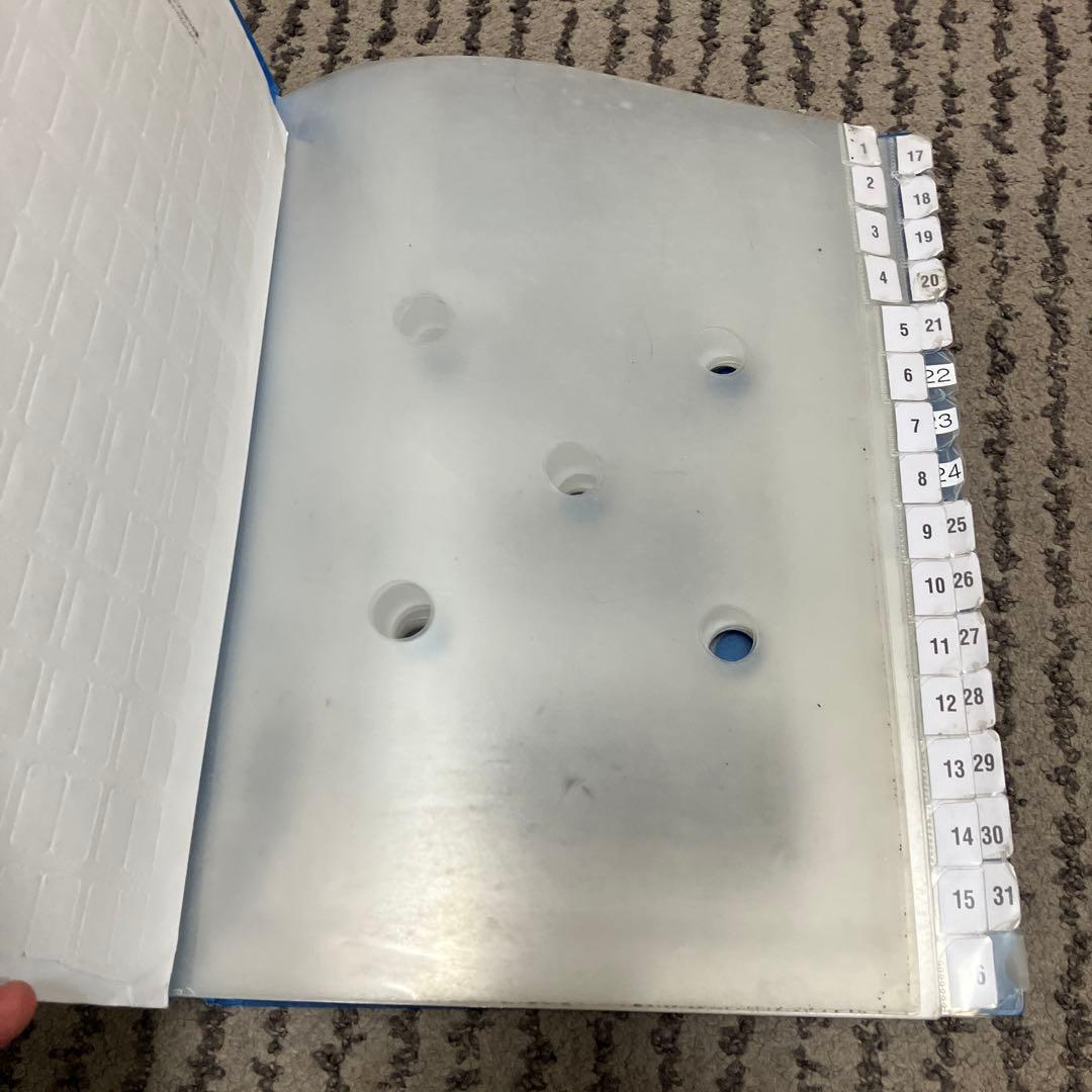 LIHIT LAB　スケジュール＆仕分けファイル 31 赤緑青