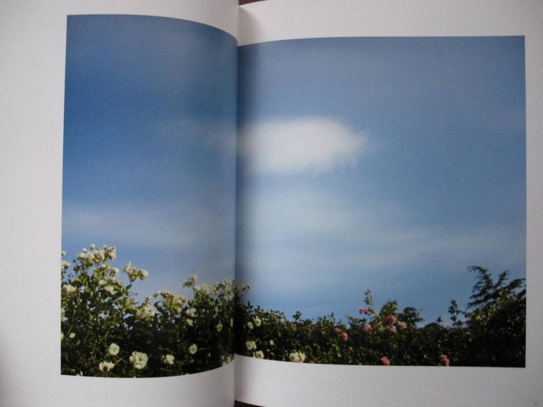 The May Sun / Terri Weifenbach 1000部限定