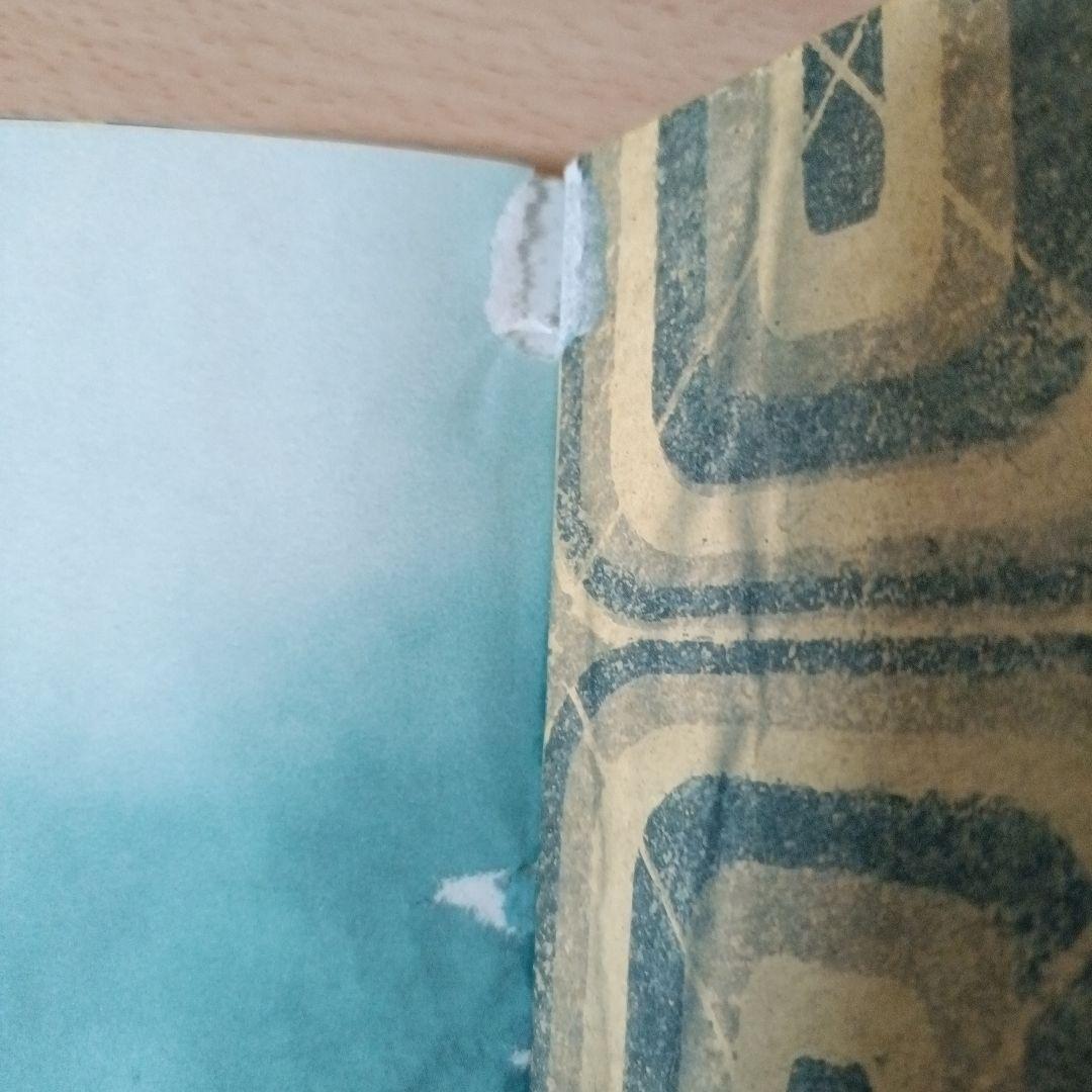 春光乍洩 happy together 写真集 ブエノスアイレス 香港映画