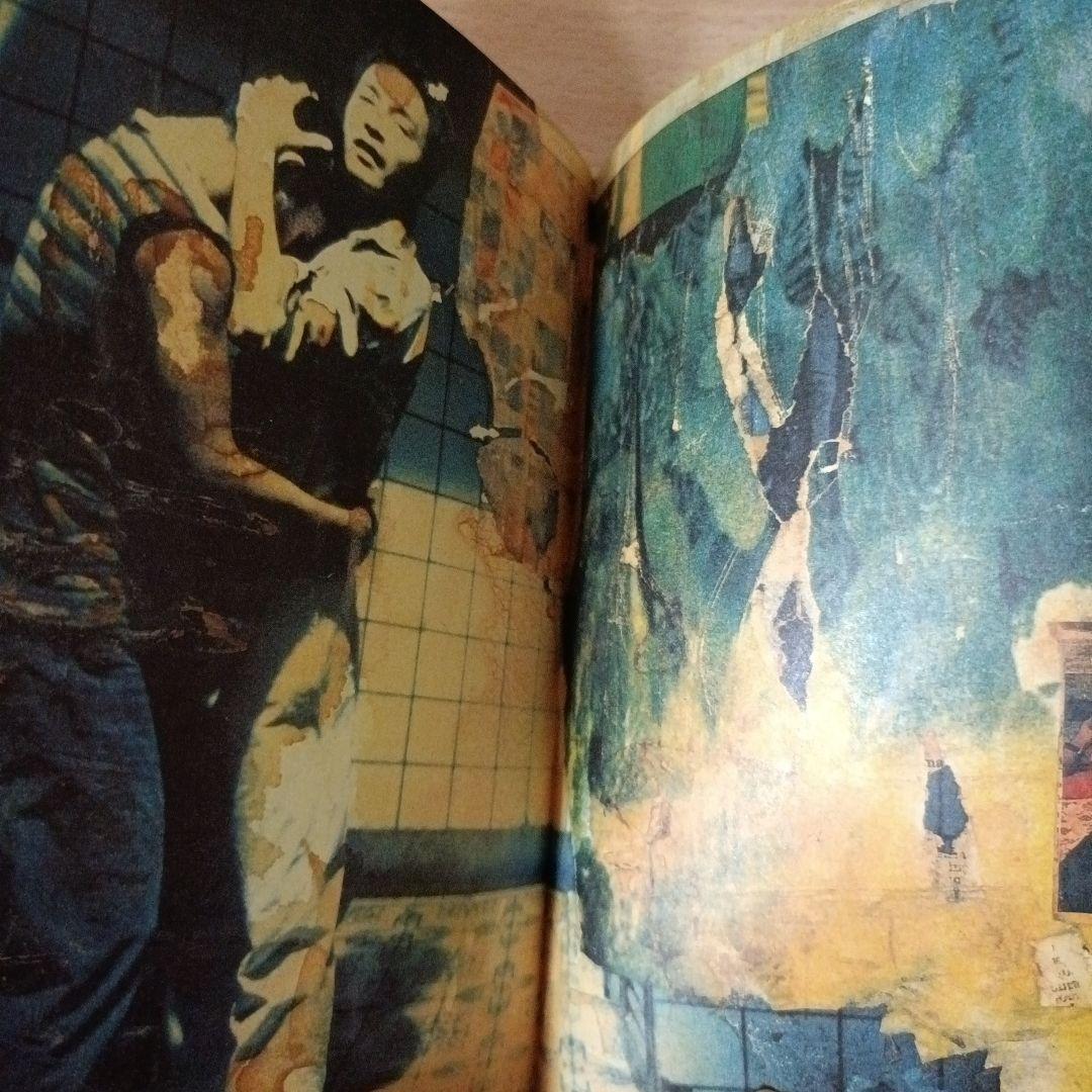 春光乍洩 happy together 写真集 ブエノスアイレス 香港映画