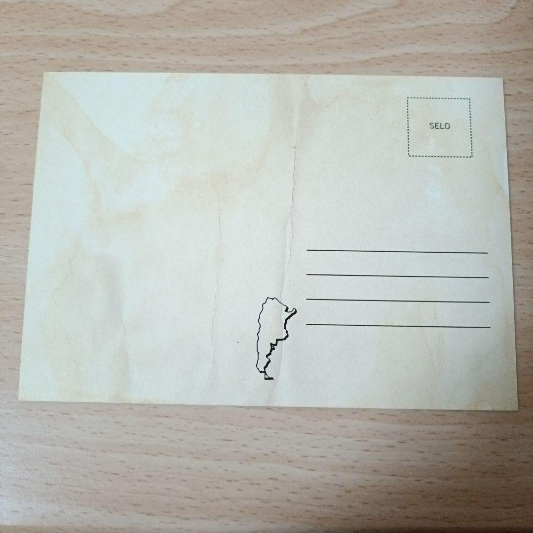 春光乍洩 happy together 写真集 ブエノスアイレス 香港映画