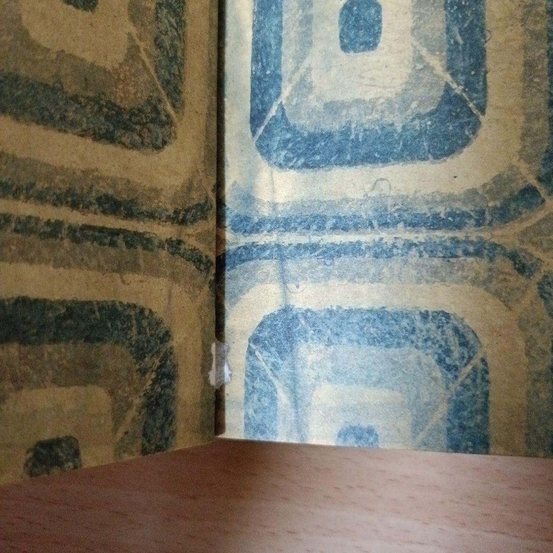 春光乍洩 happy together 写真集 ブエノスアイレス 香港映画