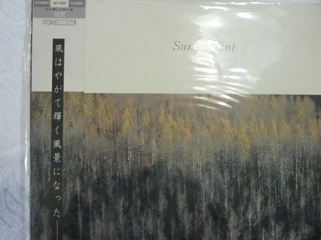 奥慶一 Keiichi Oku　Sunset Tint　LPレコード