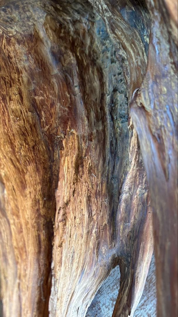 世界遺産屋久島屋久杉飾り物