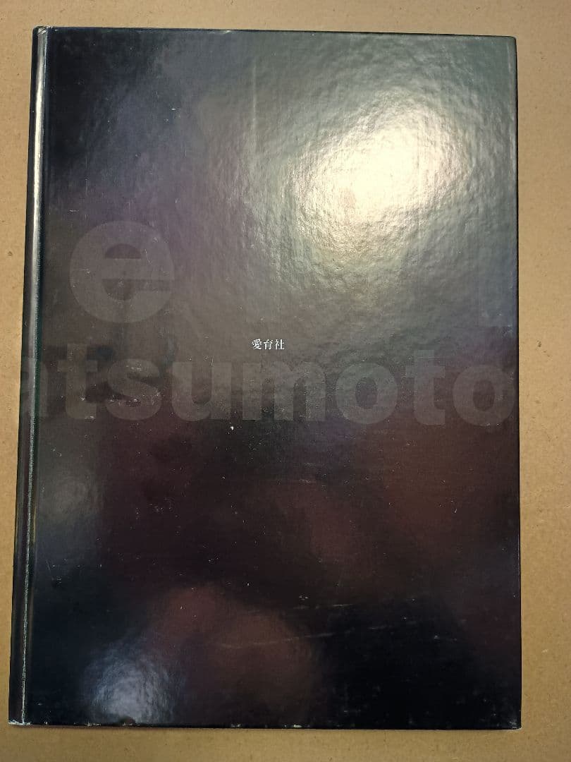 松本零士画集《 星の海、美の遺伝子 》愛育社 初版 第一刷 帯付 絶版本 希少本