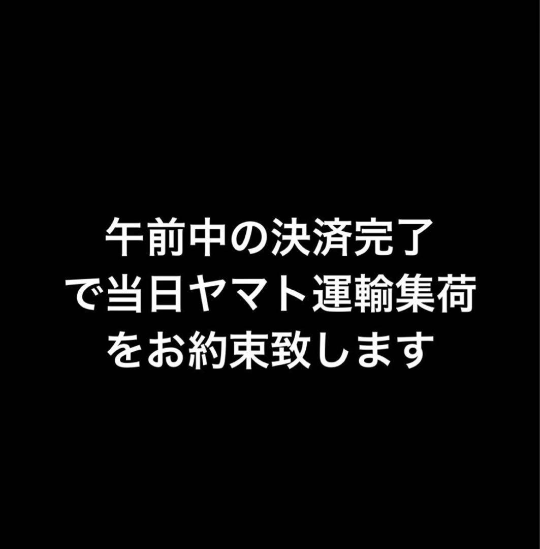 即時発送 新品 ニンテンドー switch lite スイッチライト ターコイズ