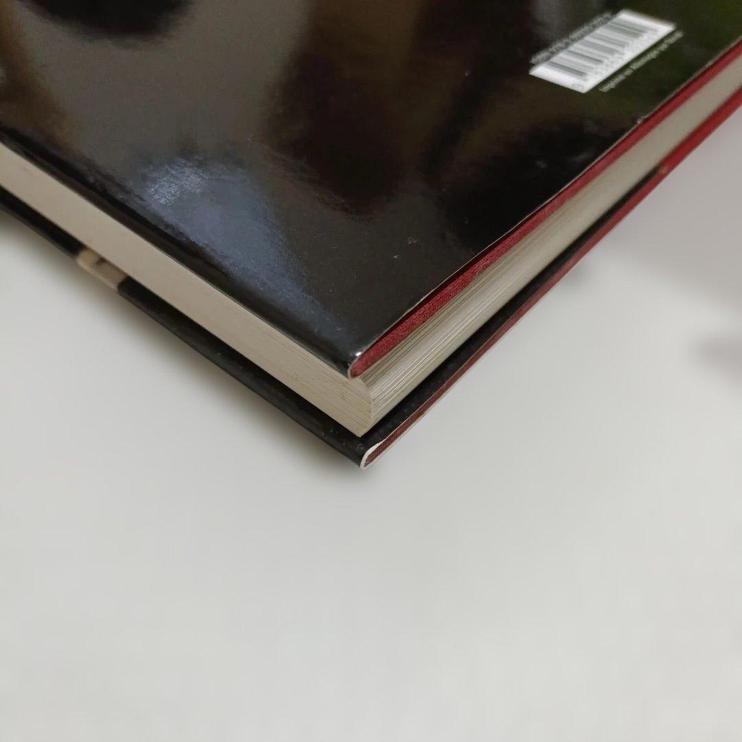 アート・デザイン・音楽 SAUL LEITER Early Color