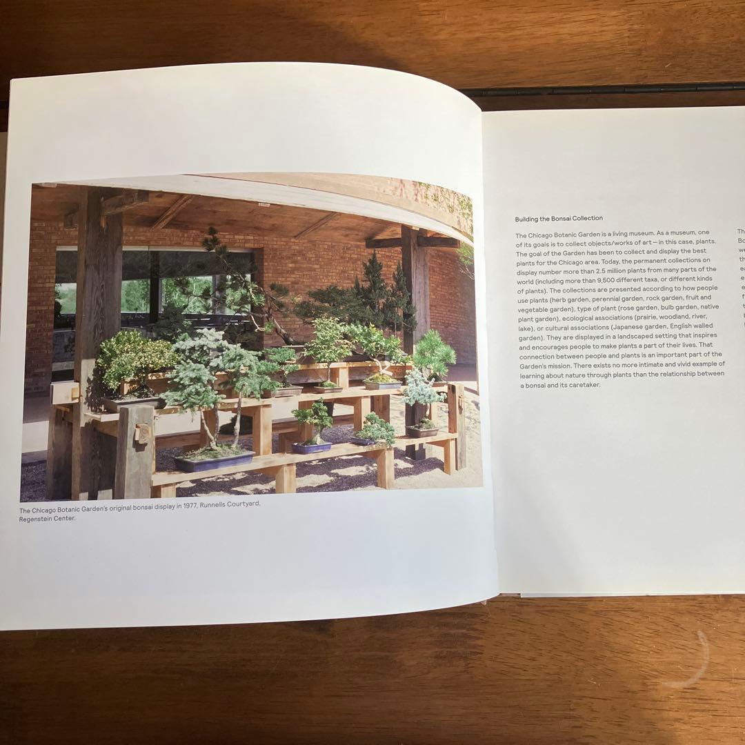 Bonsai: A Patient Art 洋書