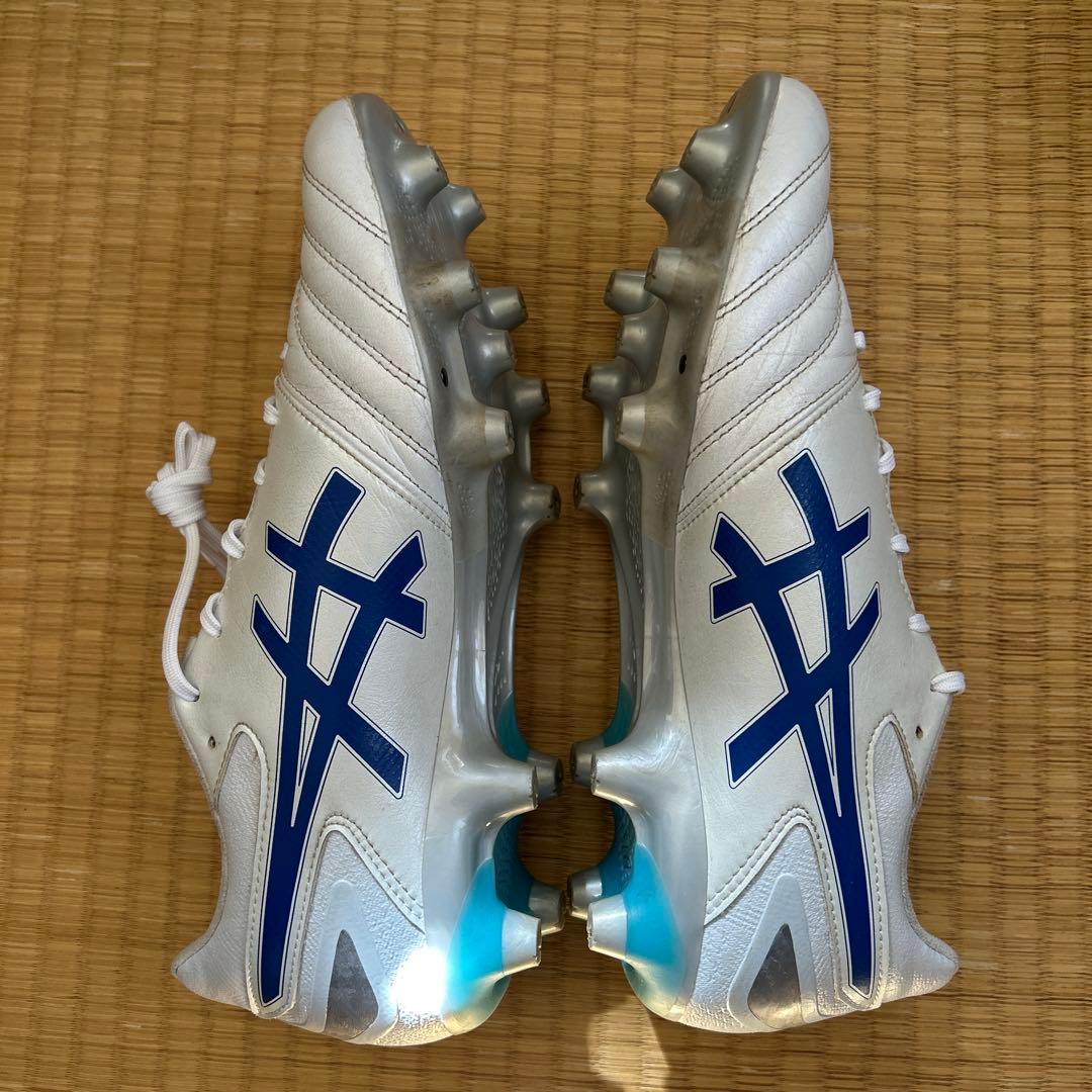 「あーお様」専用 DSライトプロ　ワイド27cm