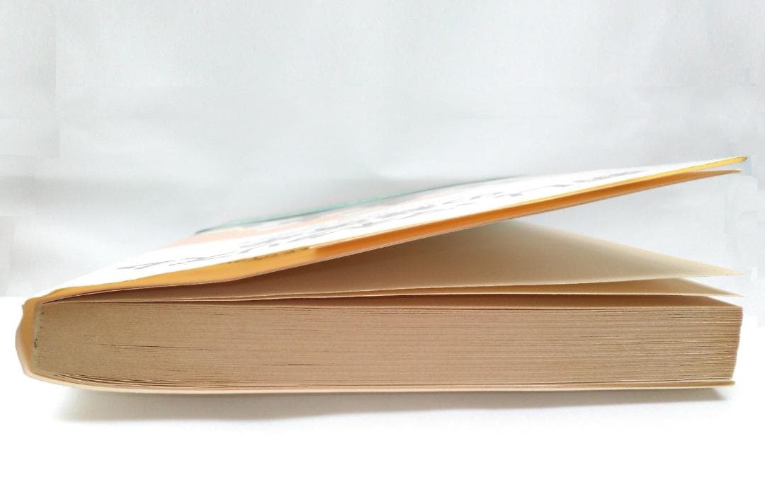 谷内満著　新しいマネタリズムの経済学　東京大学法学部　ブラウン大学1982年発行