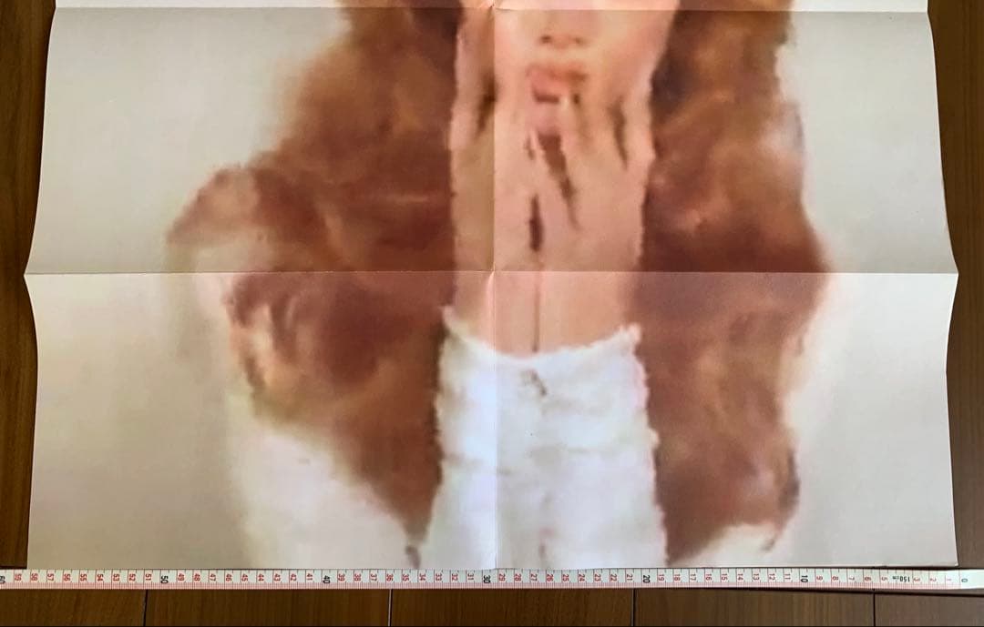 【洋書】『HIDDEN IDENTITIES』（トートバッグ・ポスター付）