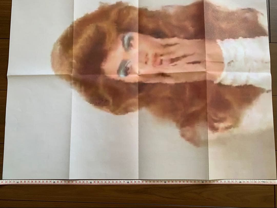 【洋書】『HIDDEN IDENTITIES』（トートバッグ・ポスター付）